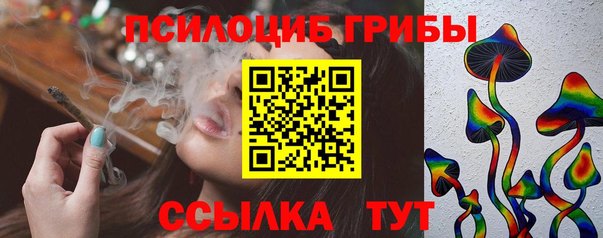 Псилоцибиновые грибы мицелий Шарыпово