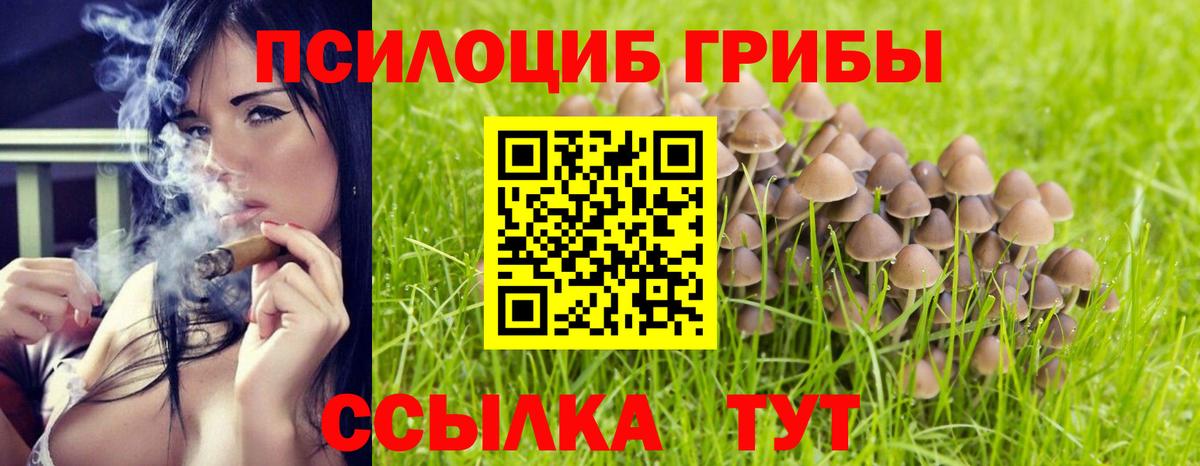 купить наркотики цена  Вход с VPN  Шарыпово  Псилоцибиновые грибы прущие грибы 